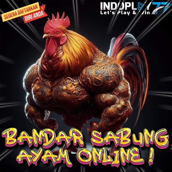 INDOPLAY77 $ Tempat Terbaik untuk SV388 Sabung Ayam Filipina